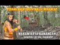 Lagu real.! the dragon puspa sword is stuck in the grave of arya kamandanu