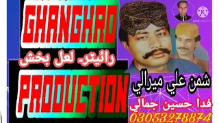 shaman ali merli and fida hussain jamali 