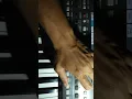Download Lagu video#shorts//cara mengatur kontras kecerahan pada kyboard korg pa600