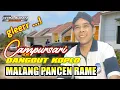 Download Lagu MALANG PANCEN RAME ( MPR ) ~ Campursari Dangdut || Audio Jernih