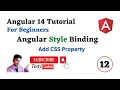 Angular 14 Tutorial For beginners Style Binding in Angular Add CSS Property in angular TestyCodeiz