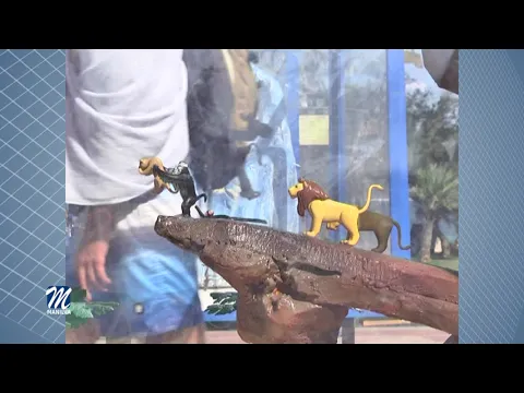 YouTube player