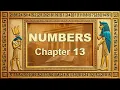 NUMBERS - Chapter 13