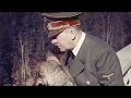 Hitler s Uniform - A Guide to the Fuhrer s Fashions