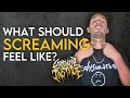 Lagu How to scream: what should screams feel like? Am I hurting myself?
