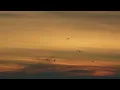 ISAIAS SAAD & MARSENA - DEUS DE DETALHES (letra) 