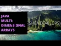 Beginner Java Tutorial on Multidimensional Arrays
