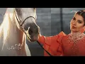 Assala - Aman Aman | Lyrics Video 2024 | أصالة - امان امان