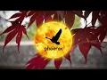 River Solo 1 SAAT Fitgirl repack background music 1 hour