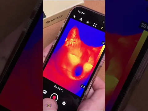 Тепловизор на 550°C прямо в кармане