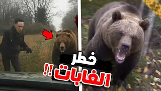                                                                         دندنها