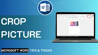 How To Crop Picture In Microsoft Word Microsoft Word
