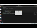 Tkinter Checkbutton Widget