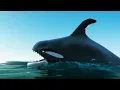 The Power Of Teamwork - Funny Animation