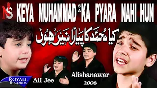 kiya muhammad ka pyara nahi hun ali shanawar u0026 ali jee 2008
