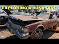 My First Trip to the Junkyard Sourcing Cheap Car Parts