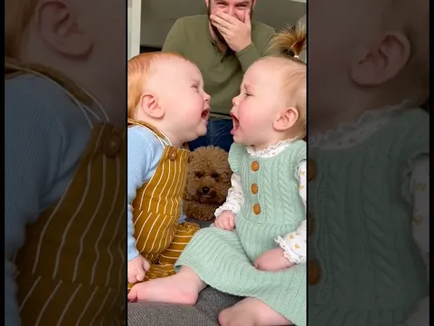 喧嘩する赤ちゃん達👶犬はどうしていいか分からず固まってしまう。。。#dog #baby #cute #funny #shorts #shortvideo #赤ちゃん
