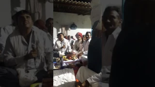 bhavesh maladhari ambaji