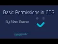 Record ownership and read create update and delete permissions in the MSFT Common Data Service