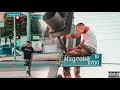 Devour - Magnolia