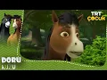 Doru Kuzu 4 Bolum