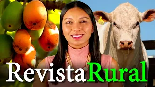 PROGRAMA REVISTA RURAL - 23/02/2025