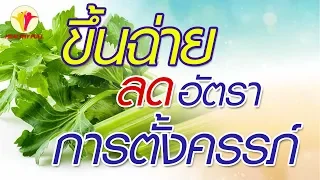 ขึ้นช่ายมีผลต่อการมีบุตรอย่างไร และทำไมคนที่อยากมีลูกจึงควรงด?