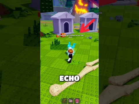 How To Complete The ECHO Quest!😱