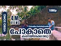 Pokathe Kariyilakkattee HD 1080p | Video Song | Mammootty - Rappakal