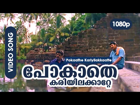 Download MP3 Pokathe Kariyilakkattee HD 1080p | Video Song | Mammootty - Rappakal