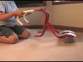 Fire Escape Ladder