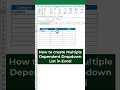 Download Lagu Multiple Dependent Drop Down List In Excel! Learn this in one minute! 😎 #excel #exceltips