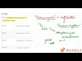 the sntibiotic Terramycin is obtained from