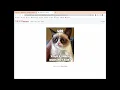 CS50X Finance Flask SQLite3 HTML CSS Bootstrap
