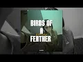 Download Lagu Billie Eilish - BIRDS OF A FEATHER  ( sped-up)