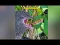 TOP 50 STRANGE & MYSTERIOUS Happenings in the World That Were Recorded