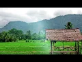 Download Lagu Suara Alam Pedesaan || Kicauan Burung Pagi Hari || Relaksasi Pagi Hari