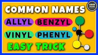 Common Names Allyl Vinyl Benzyl Phenyl Organic Chemistry