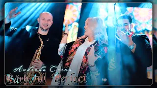 Descarcă Andrada Cerna - Barbatul perfect MP3 gratuit - Muzica123
