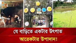 যে বাড়িতে একটার উৎপাত আরেকটার উপাদান! | Nagorik TV Special