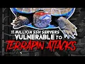 11 million SSH servers vulnerable to Terrapin attacks