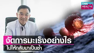  วิธีที่ใช้สารสกัดจากพืชกินได้เพื่อช่วยต่อต้านมะเร็งทำงานอย่างไร 