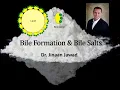 Download Lagu How Is Bile Made \u0026 Bile Salts?