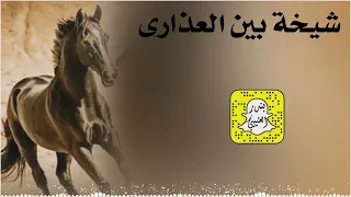 شيخة بين العذارى اداء ماجد الرحيمي 2025 حصريا 
