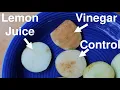 Apple Browning Citric vs Acetic Acid
