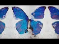 Shygirl - Crush ft Erika de Casier (Official Visualiser)