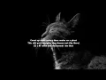 Me Vs Me - Moneybagg Yo (Lyrics)