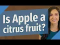 Is Apple a citrus fruit