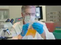 What Is Plasma and How Is It Used