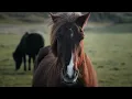 Spada Korolova - Be Strong 2022 [Remix]